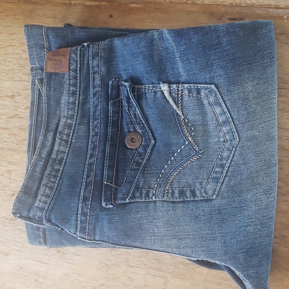 Wallflower Denim - EUC Wallflower, the famous flare jeans
